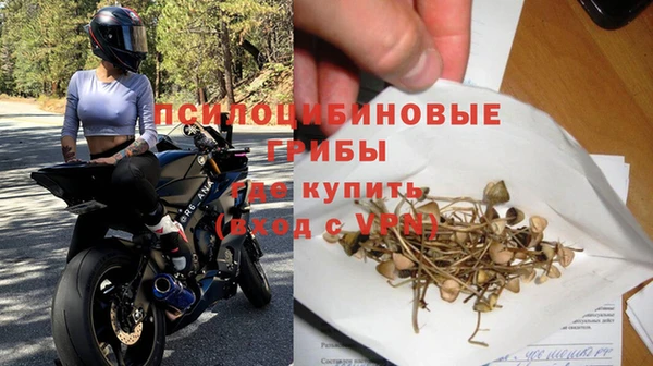 Альфа ПВП Алзамай