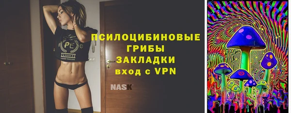 Альфа ПВП Алзамай